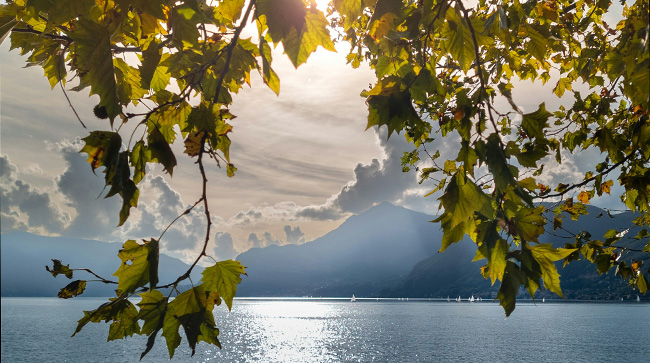 Unsplash - Luca-Pozzoli